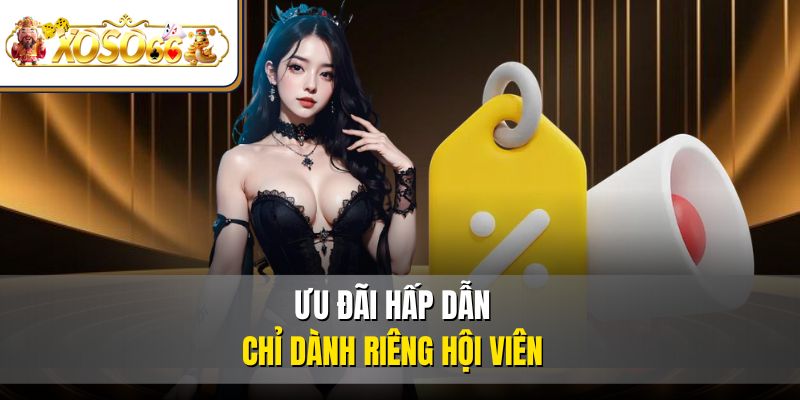 Ưu đãi hấp dẫn chỉ dành riêng hội viên